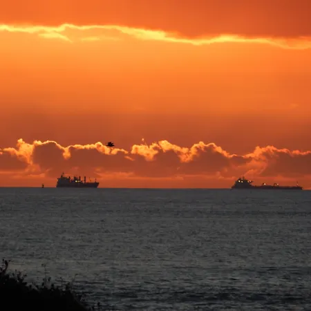 Logis Restaurant Le Calluna