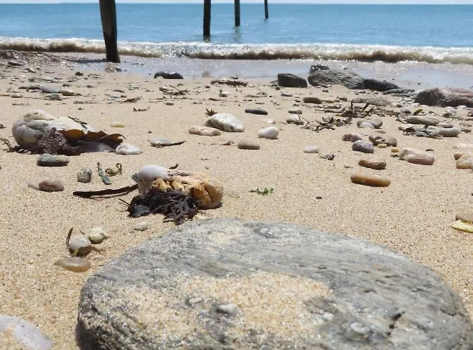 Logis Le Calluna Restaurant La Flottille