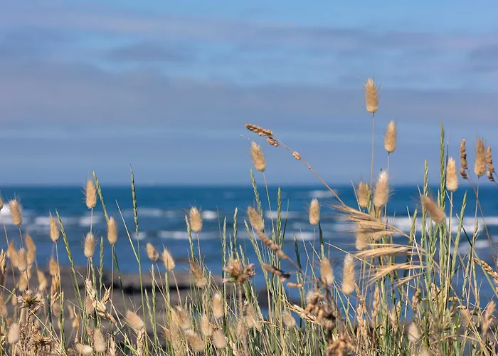 Logis Restaurant Le Calluna Préfailles